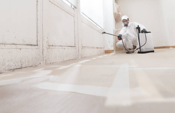 24/7 Emergency Basement Mold Remediation experts in Mesquite, TX